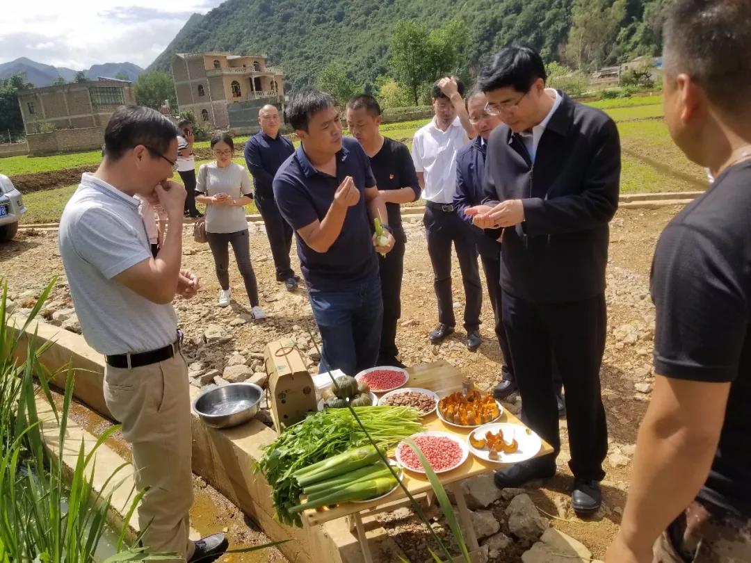 CA88(中国区)有限公司 - 官方网站