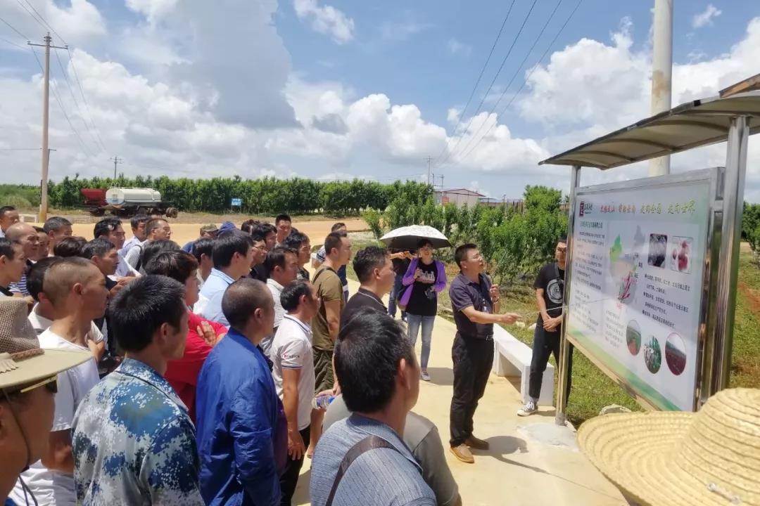 CA88(中国区)有限公司 - 官方网站