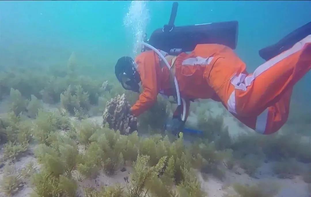 CA88(中国区)有限公司 - 官方网站