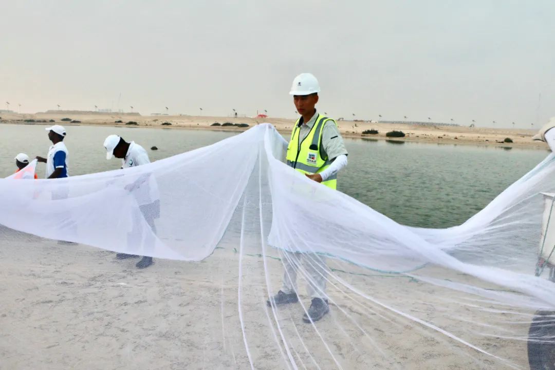 CA88(中国区)有限公司 - 官方网站