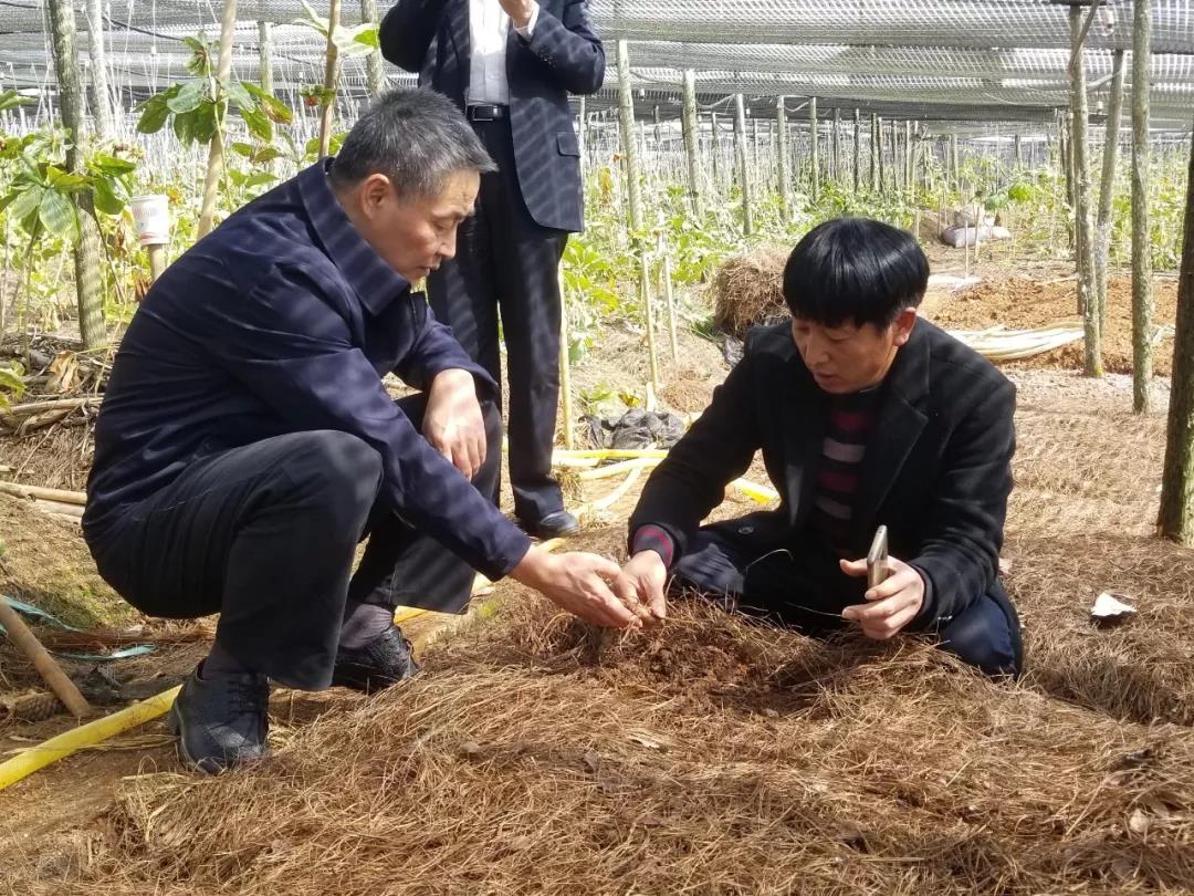 CA88(中国区)有限公司 - 官方网站