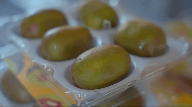 CA88(中国区)有限公司 - 官方网站