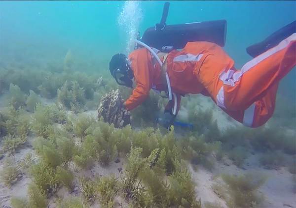 CA88(中国区)有限公司 - 官方网站