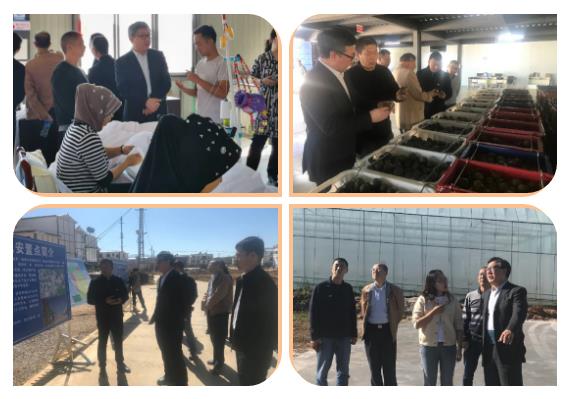 CA88(中国区)有限公司 - 官方网站