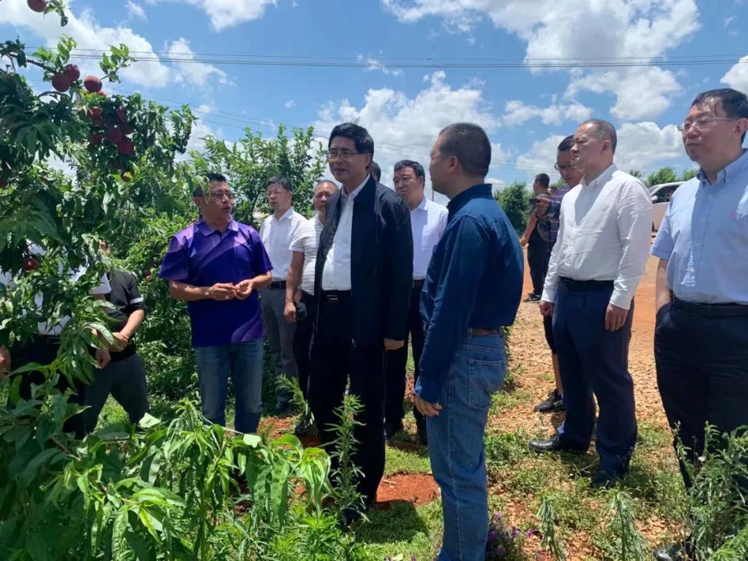 CA88(中国区)有限公司 - 官方网站