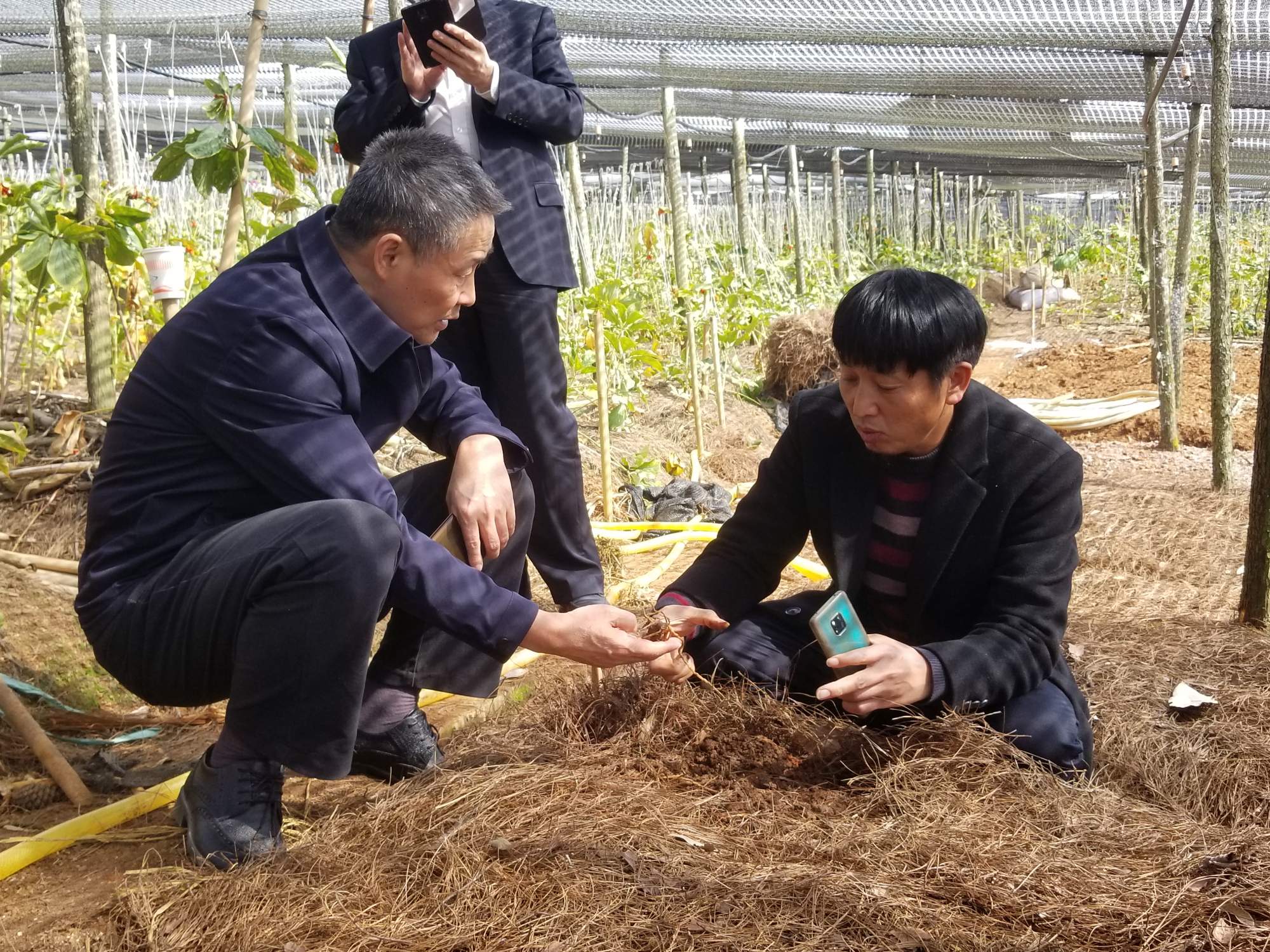 CA88(中国区)有限公司 - 官方网站