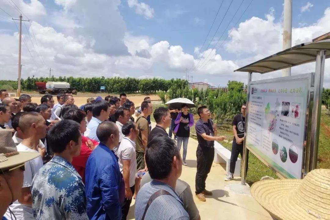 CA88(中国区)有限公司 - 官方网站