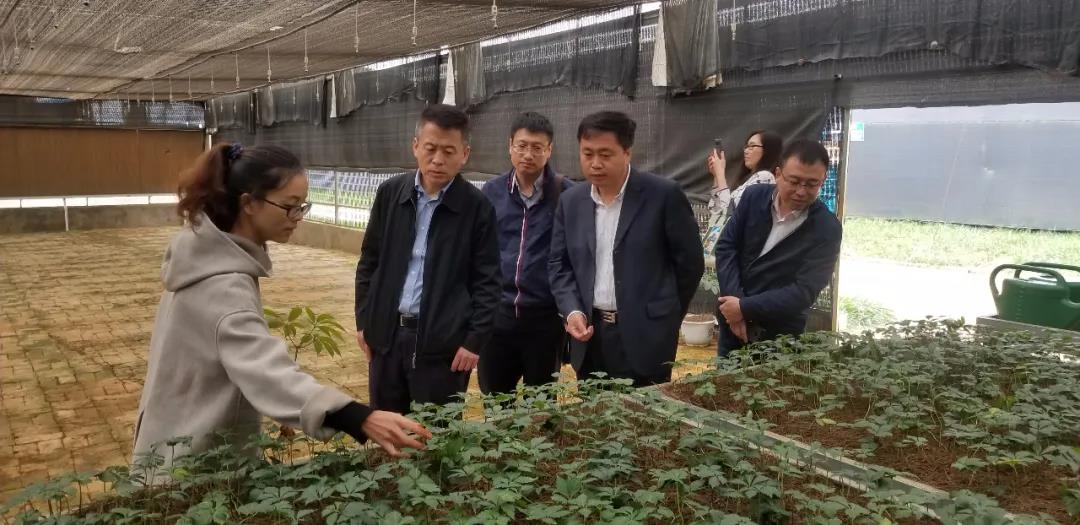 CA88(中国区)有限公司 - 官方网站